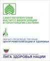 Требуется главный представитель в Российскую международную компанию