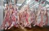 Оленина оптом, продукция из мяса северного оленя, пельмени, колбасы, вырезка
