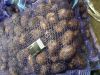 Картофель оптом