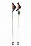 Палки для скандинавской ходьбы Finpole ECO 20%carbon(белые и серые)