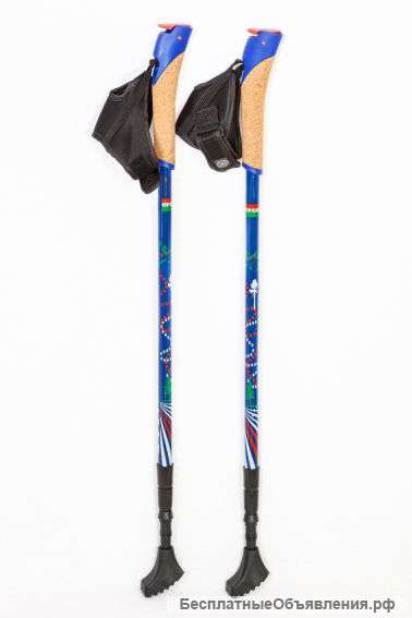 Скандинавские палки Ergo PRO 100% Carbon