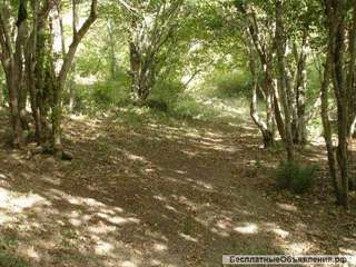 Земельный участок