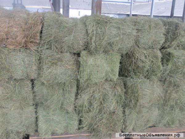 Тюкованное сено