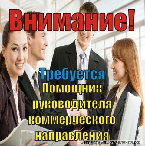 Помощник руководителя