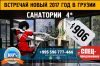 Тур на Новый год 2017 в Грузию
