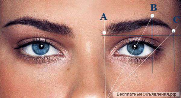 Курс Мастер-Бровист