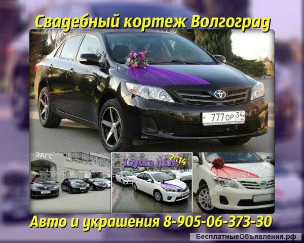 Машины и украшения на свадебные авто. Свадебный кортеж Волгоград