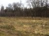 12 соток д.Перхурово Чеховский район