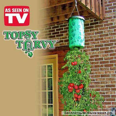 Topsy turvy tomato - вьющиеся помидоры на балконе