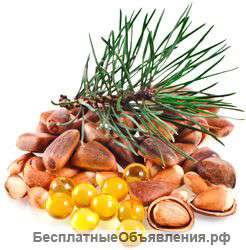 Ядро кедрового ореха