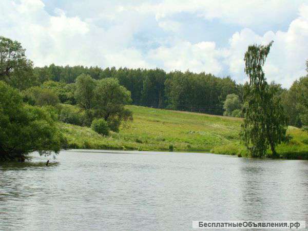Участок у леса и воды. ПМЖ