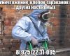 Уничтожения Клопов,Тараканов