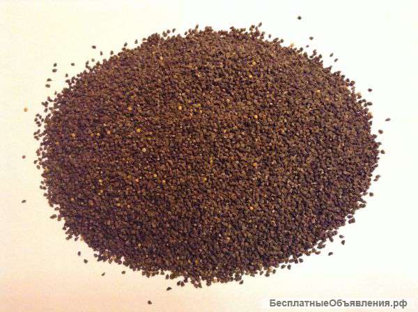 Фацелия пижмолистная