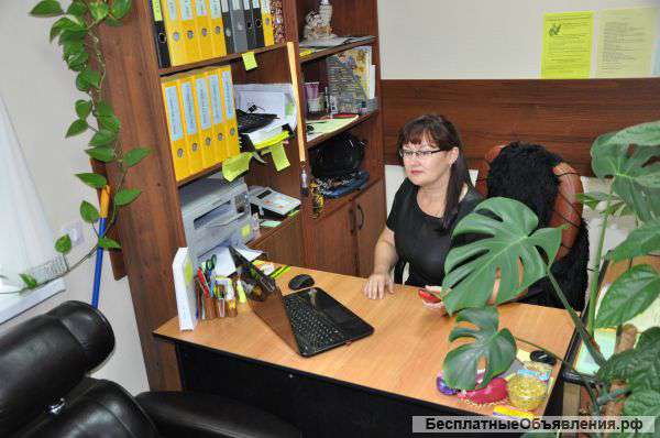 Открытие ИП Регистрация