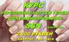 Курс "Укрепление ногтей гелем для ламинирования SSN" (аналог IBX)