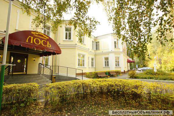 Помещение 11 кв.м. в Гостинице "Лось"
