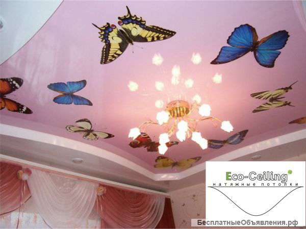 Натяжные потолки и москитные сетки Выгодно
