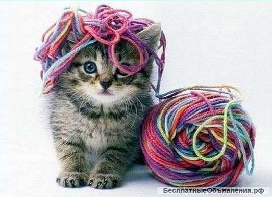 Курсы вязания крючком с азов - группы и индивидуально