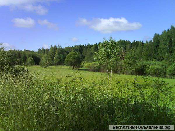 Участок 10 соток под ИЖС в дер. Раздорово