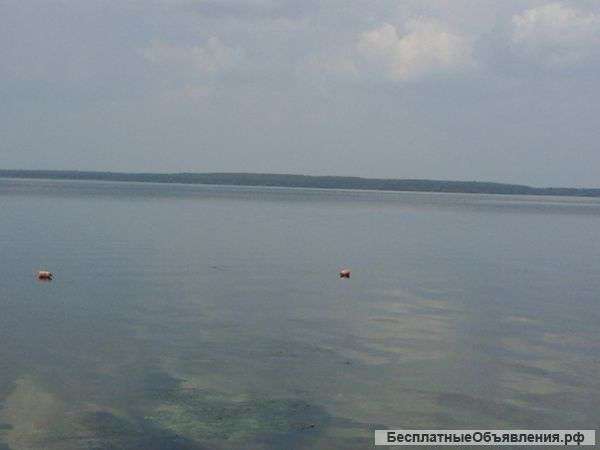 Участок 31 га