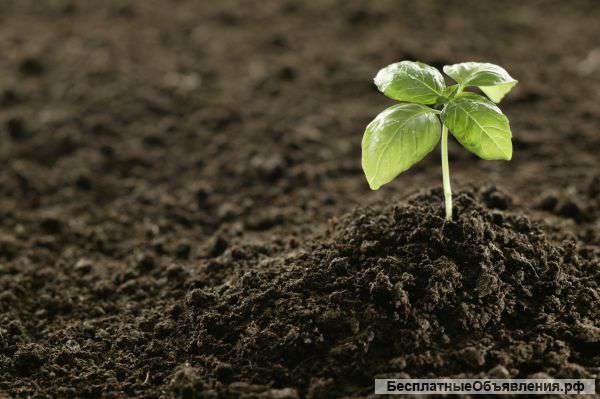 Грунт плодородный, растительный с доставкой