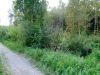 Щелковский район, снт " Озон" участок 12 соток