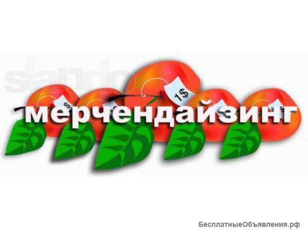 Мерчендайзер. Москва и МО