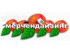 Мерчендайзер. Москва и МО