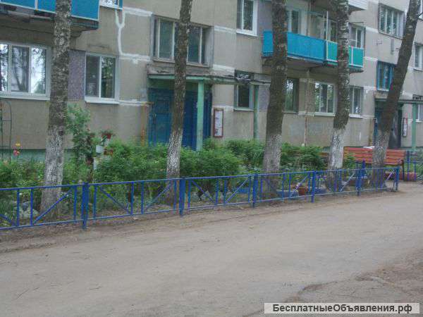 Большое Буньково ул. Демонстрационная 2-комнатная квартира.