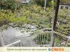 В Грузии на курорте Борджоми по адресу ул. Саакадзе №36, в семйной гостинице сезонно сдаются комнати