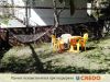 В Грузии на курорте Цагвери по адресу ул. Торели №2, в семйной гостинице сезонно сдаются комнати