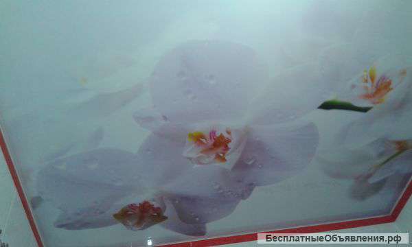 Натяжные потолки и гипсокортоные ниши потолки под ключ