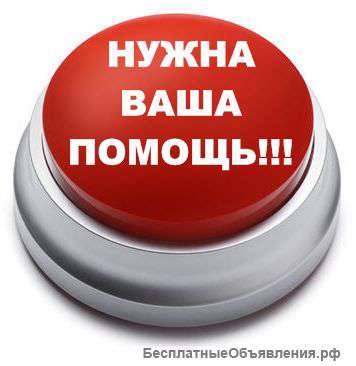 Прошу помощи