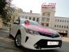 Кортеж на свадьбу, машины и украшения на свадебные авто
