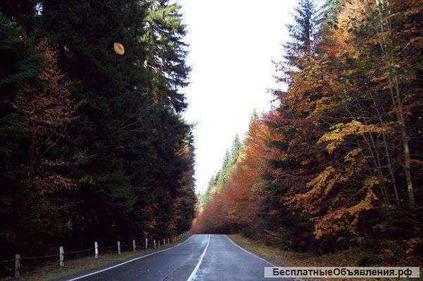 Золотое кольцо "Теберда-Домбай-Архыз"