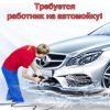 Требуются автомойщики