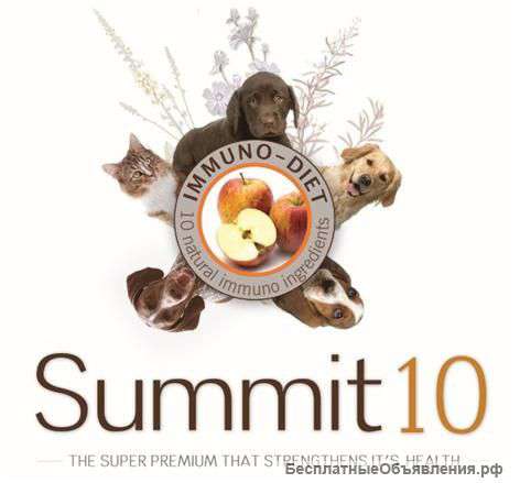 Summit 10 Испания сухие корма для кошек и собак