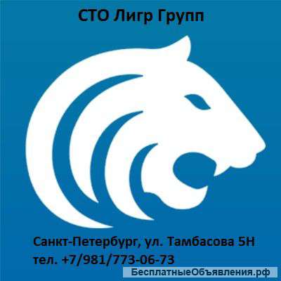 СТО Лигр Групп