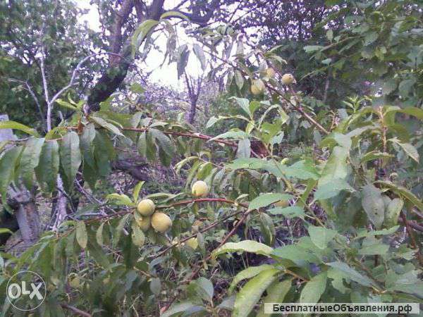 Дома в Феодосии