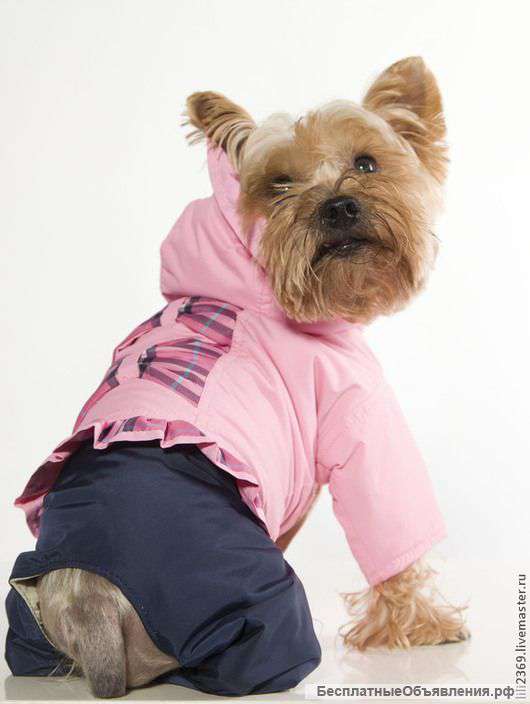 Комбинезоны для собак