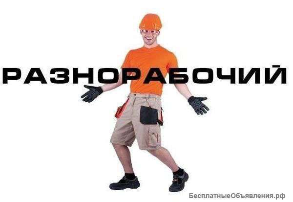 Ищу разнорабочего