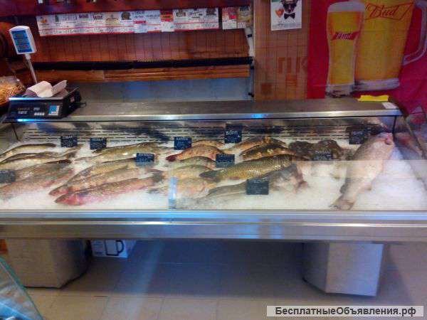 Торговое оборудование б/у