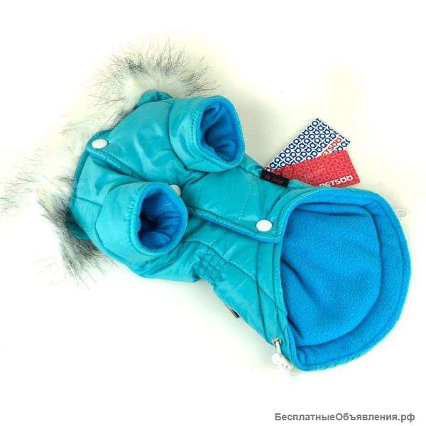 Одежда и аксессуары для собак