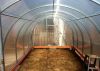 Теплица .Труба 40х20м. Расстояние м/у дугами 0.67м.