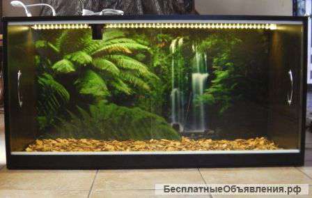 Эксклюзивные террариумы + подарки