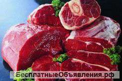 Мясо халял в москве 89374296181