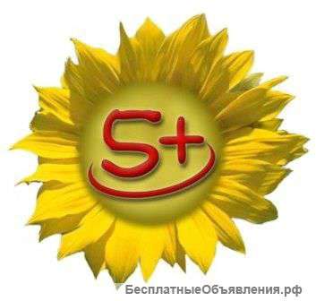 Презентации для организаций