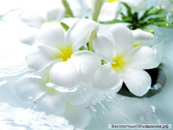 Продавец-кассир в цветы