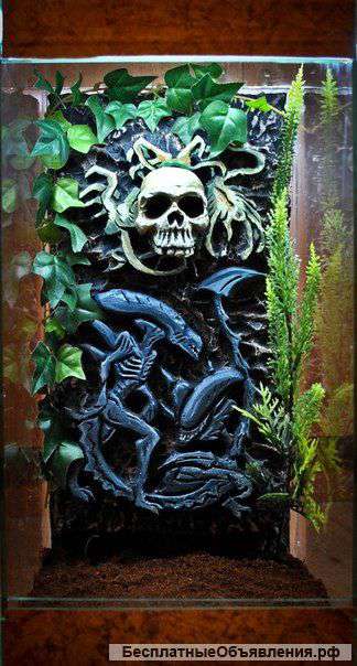 Эксклюзивные террариумы