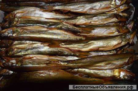 Рыба речная копчёная от производителя